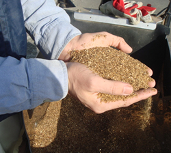 真心こめたお茶作り