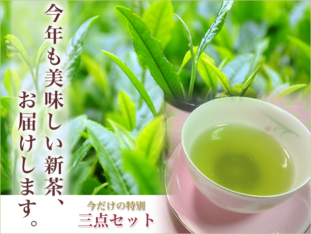 今年も美味しい新茶をお届けします。今だけの期間限定セット